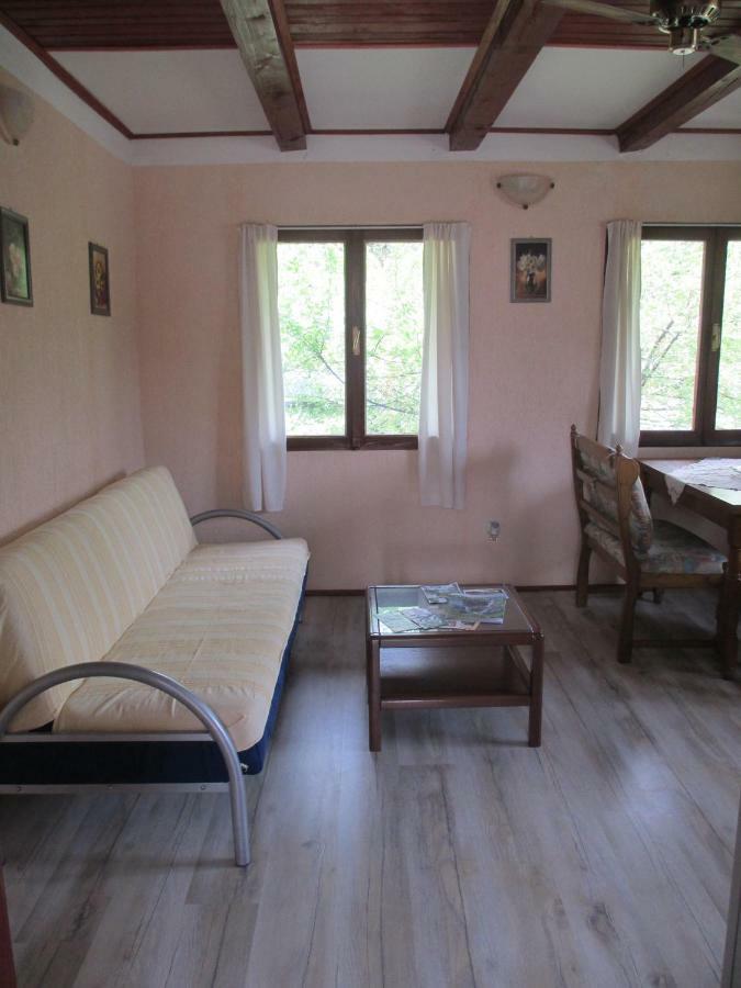 Apartments Family Trauber Korenica Exterior photo